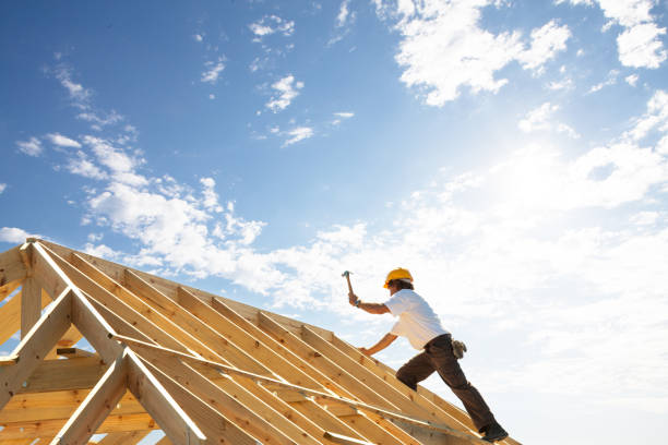 Best Asphalt Shingles Roofing  in Liberty City, TX